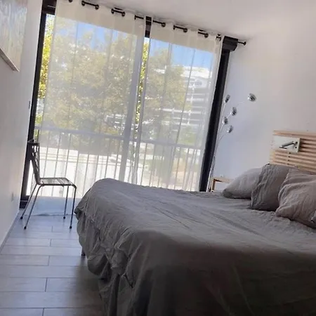 Appartamento Au Couchant, Premiere Ligne, T3 Pour 6 N112